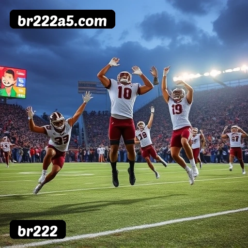 Recursos Exclusivos do App br222 - Modo Offline, Login Biométrico